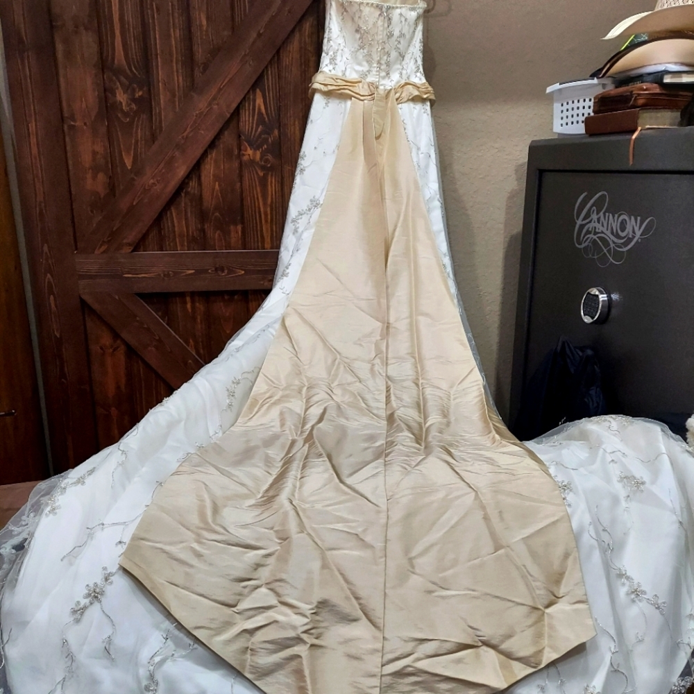 Angolique Size 10 Wedding dress